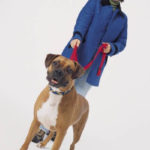 How long does it usually take to resolve a South Carolina dog bite claim?