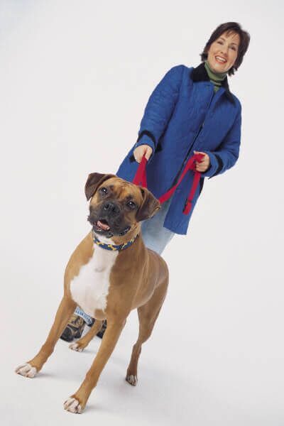 How long does it usually take to resolve a South Carolina dog bite claim?