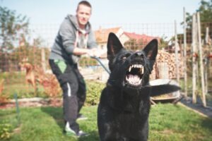 Let a dog bites lawyer in Charleston defend your personal injury case if you were harmed in a dog attack, you may qualify for compensation.