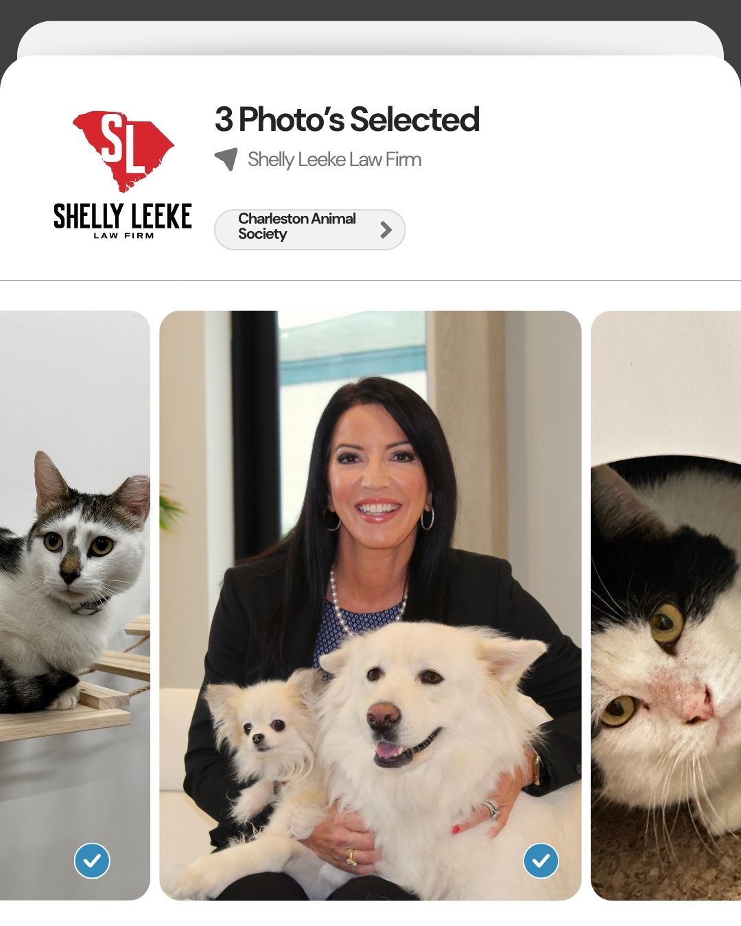 Shelly Leeke Law Firm